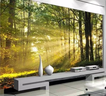 beibehang 3D tapeta vlastné nástenné obývacia izba krásne scenérie svitu lese pozadí obývacej izby, dekorácie, maliarstvo,