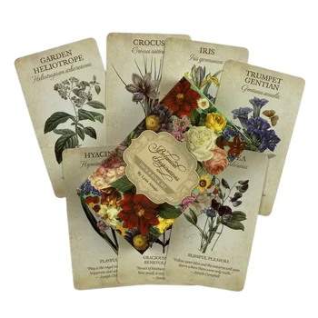 Botanická Vnuknutia Oracle Kariet, Veštenie Palube Anglický Vízia Edition Tarot Rada Playing Hra Pre Strán