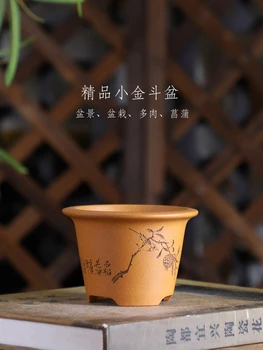 Fialová Poslať Bonsai Hrniec Tradíciu Čína Vyrezávané Succulents Záhradné Dekorácie