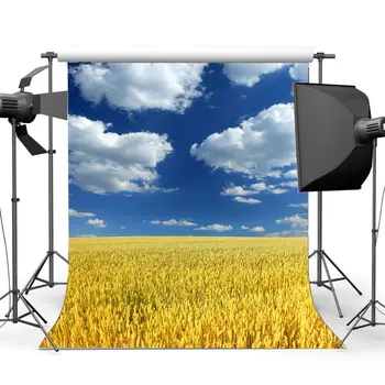 Jeseň Poľnohospodárskej Pôdy Pozadie Zlaté Polia Pšenice Blue Sky Biely Oblak Prírody Jeseň Zber Tapetu Pozadia