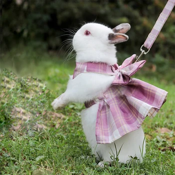 Králik Trakciu Lano Dospelých Lop-eared Bunny Výlet Nástroje Bunny Chôdza Príslušenstvo Škole Štýl Foto Oblečenie Malé domáce zvieratá